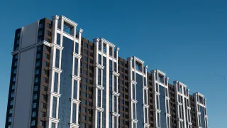 GREEN CITY — фотография 6