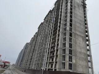GREEN CITY — Февраль 2026 — фотография 9