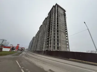 GREEN CITY — Февраль 2026 — фотография 10